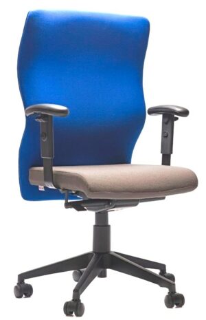 Heavy Duty Ergonomic Office Chair