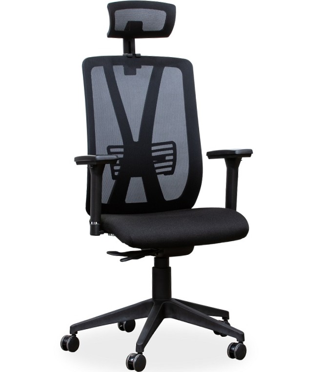 ERGONOMIC OFFICE CHAIR