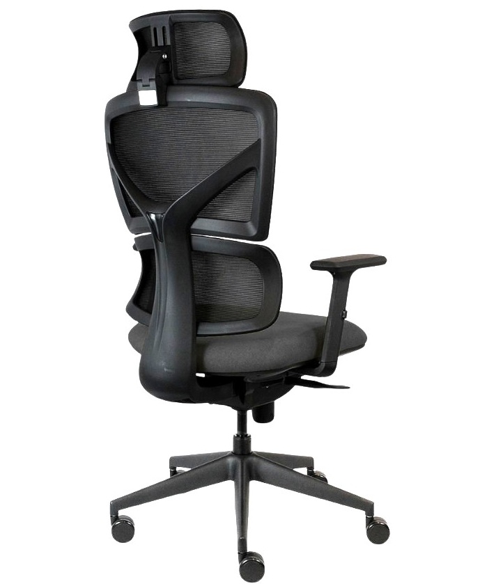 ERGONOMIC CHAIR
