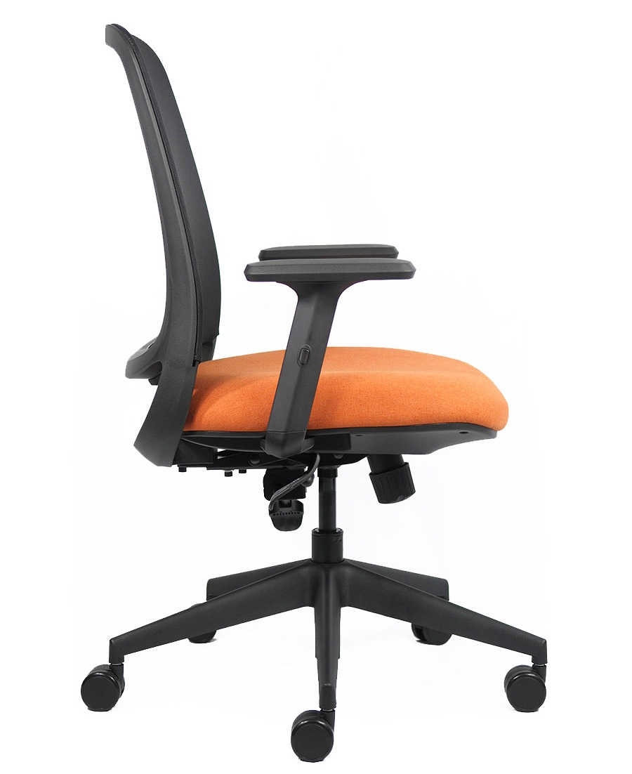 ERGONOMIC CHAIR