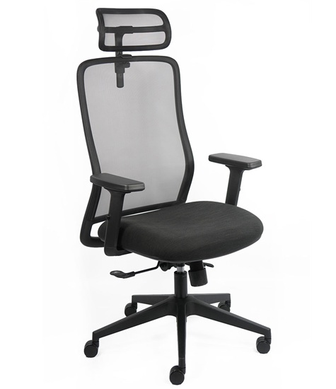 Ergonomic Office Chair