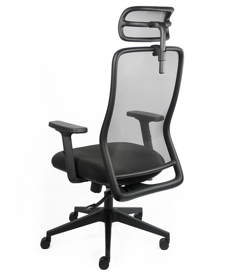 Ergonomic Office Chair