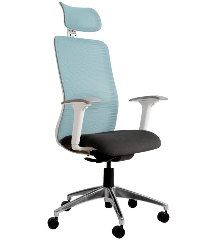 ERGONOMIC OFFICE CHAIR