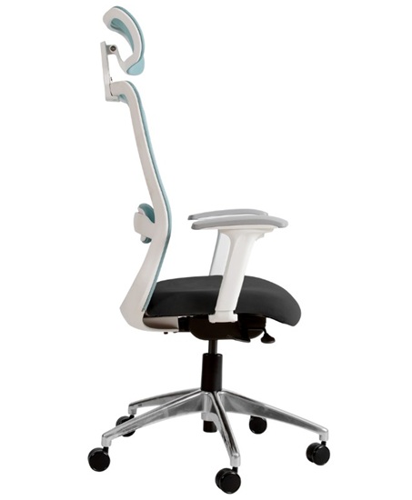 ERGONOMIC OFFICE CHAIR