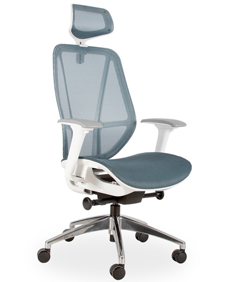 ERGONOMIC OFFICE CHAIRS
