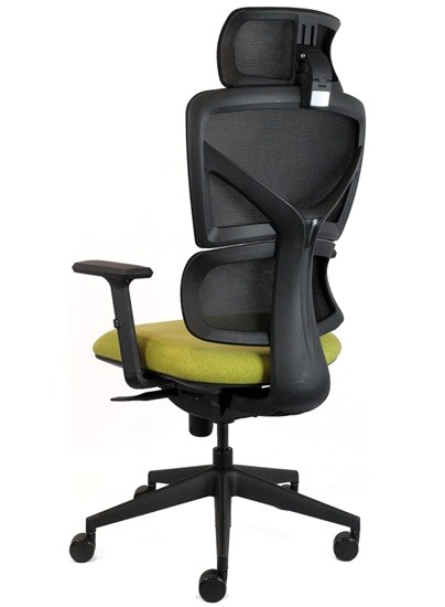 ERGONOMIC CHAIR