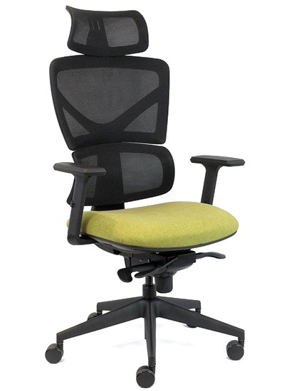 ERGONOMIC OFFICE CHAIR