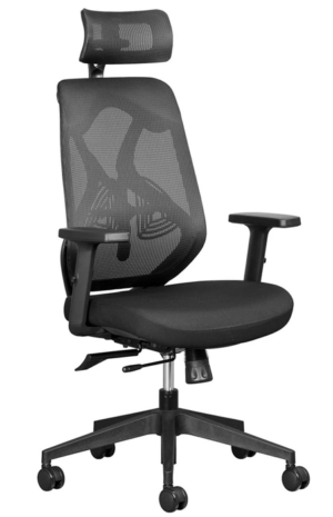 Ergonomic Chair