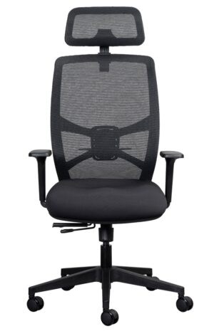 ERGONOMIC CHAIR