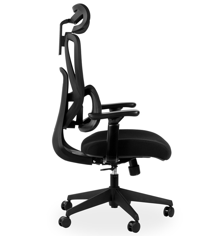 Ergonomic Office Chair