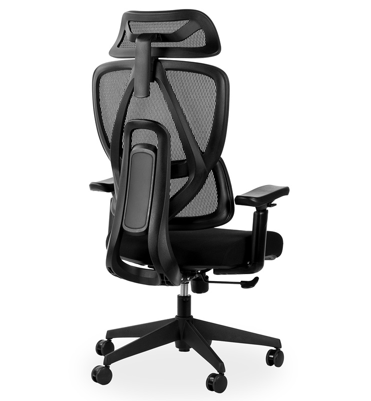 Ergonomic Office Chair - Rear