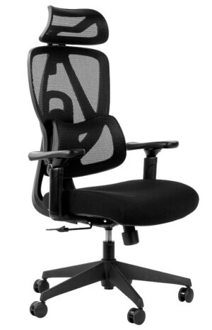 Ergonomic Office Chair