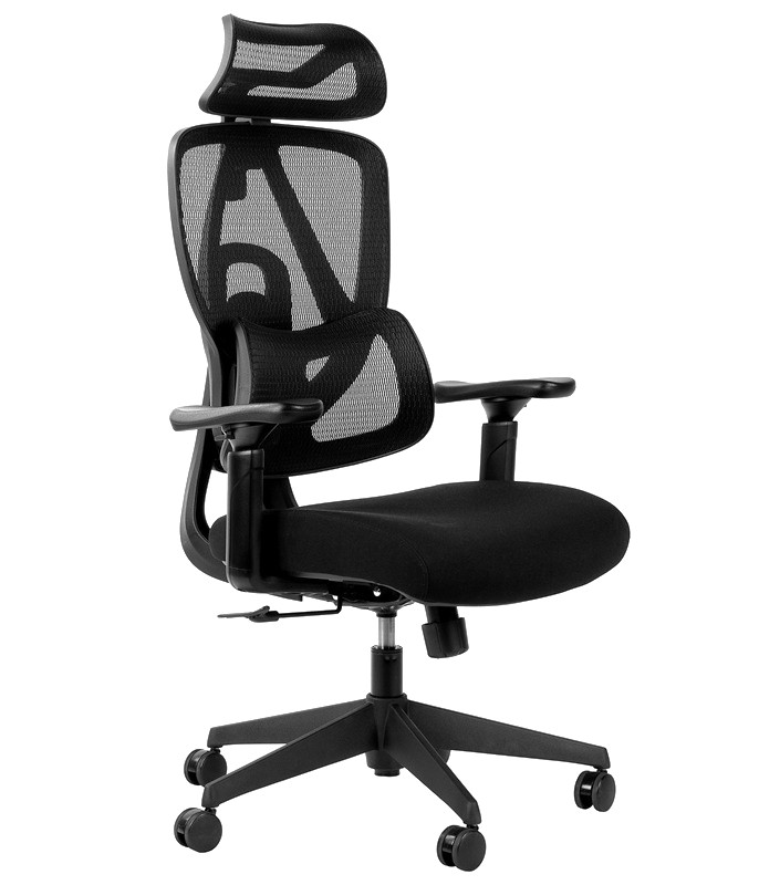 Ergonomic Office Chair